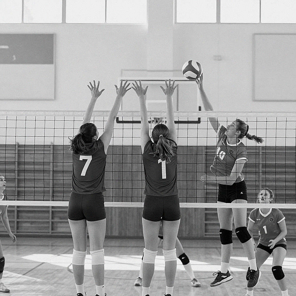 Phần Lan hạ Ý 3-2 ở tứ kết EuroVolley 2026: bốn điểm, hai tấm vé và một huyền thoại bị thổi phồng