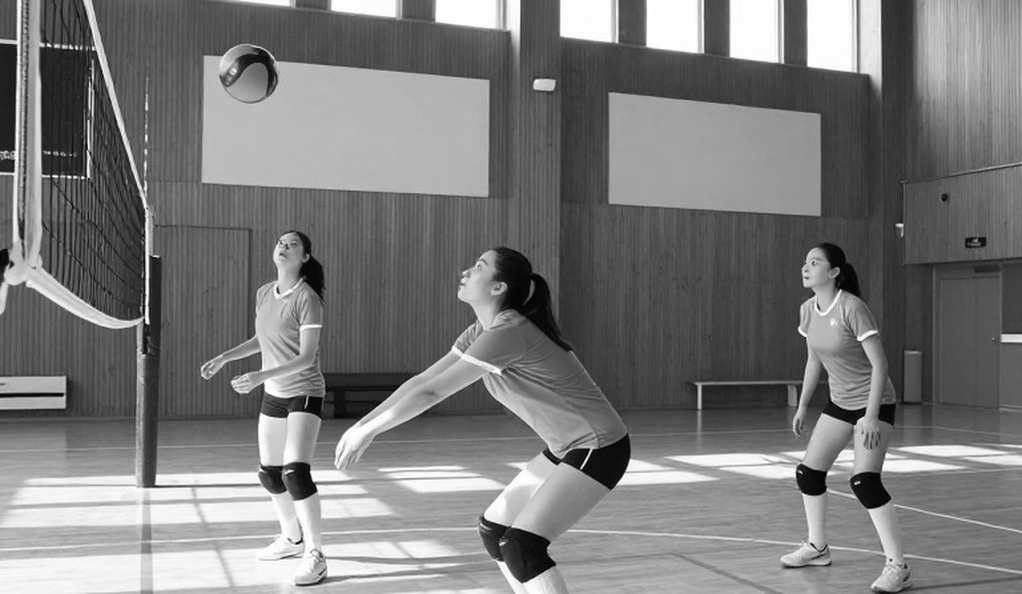 Cameroon và Tunisia tại CAVB: Tấm vé World Championship 2027 đi qua những điểm số không hề êm ái